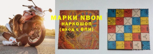 индика Зерноград