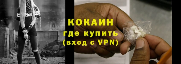 индика Зерноград