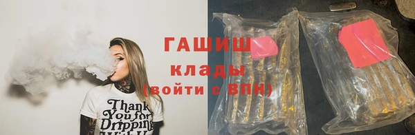 индика Зерноград