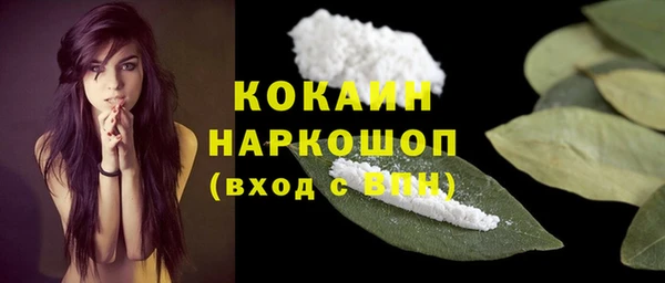гидра Зеленокумск