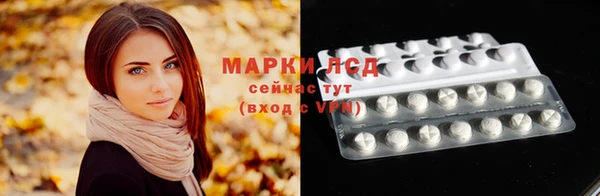 индика Зерноград