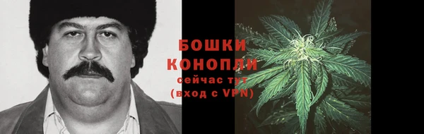PSILOCYBIN Зеленодольск