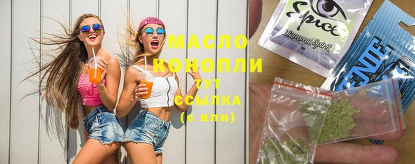 индика Зерноград