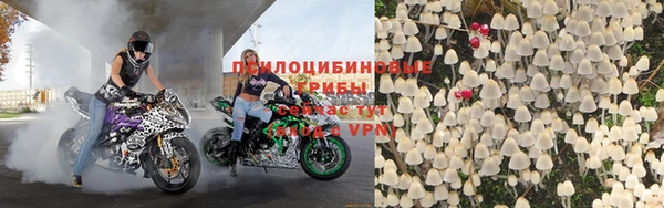 индика Зерноград