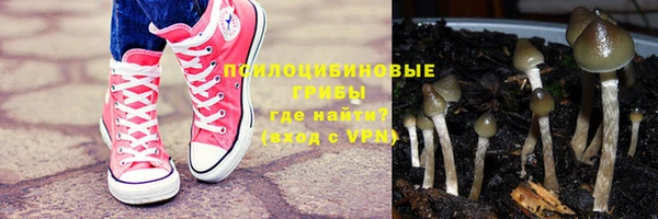 индика Зерноград