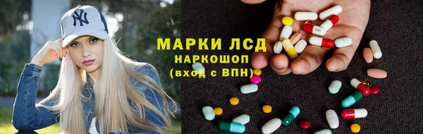 гидра Зеленокумск